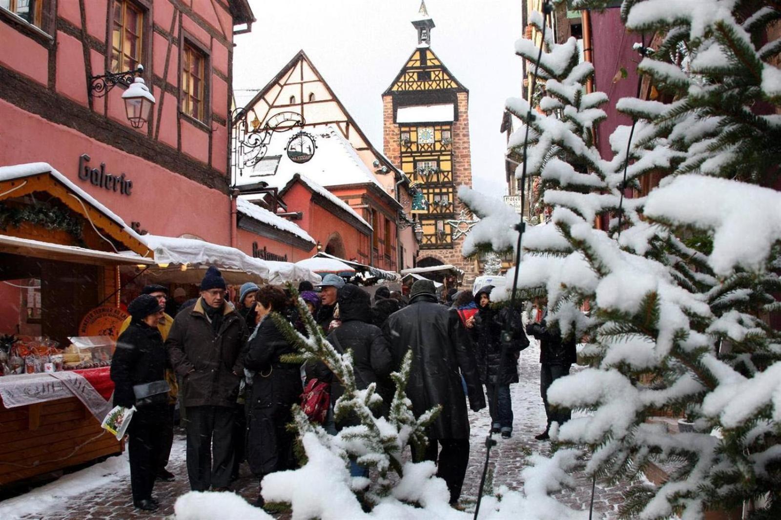 Gite Le Marronnier - Au Calme - Parking & Terrasse - Pres De Colmar Et Riquewihr - Route Des Vins Châtenois Esterno foto
