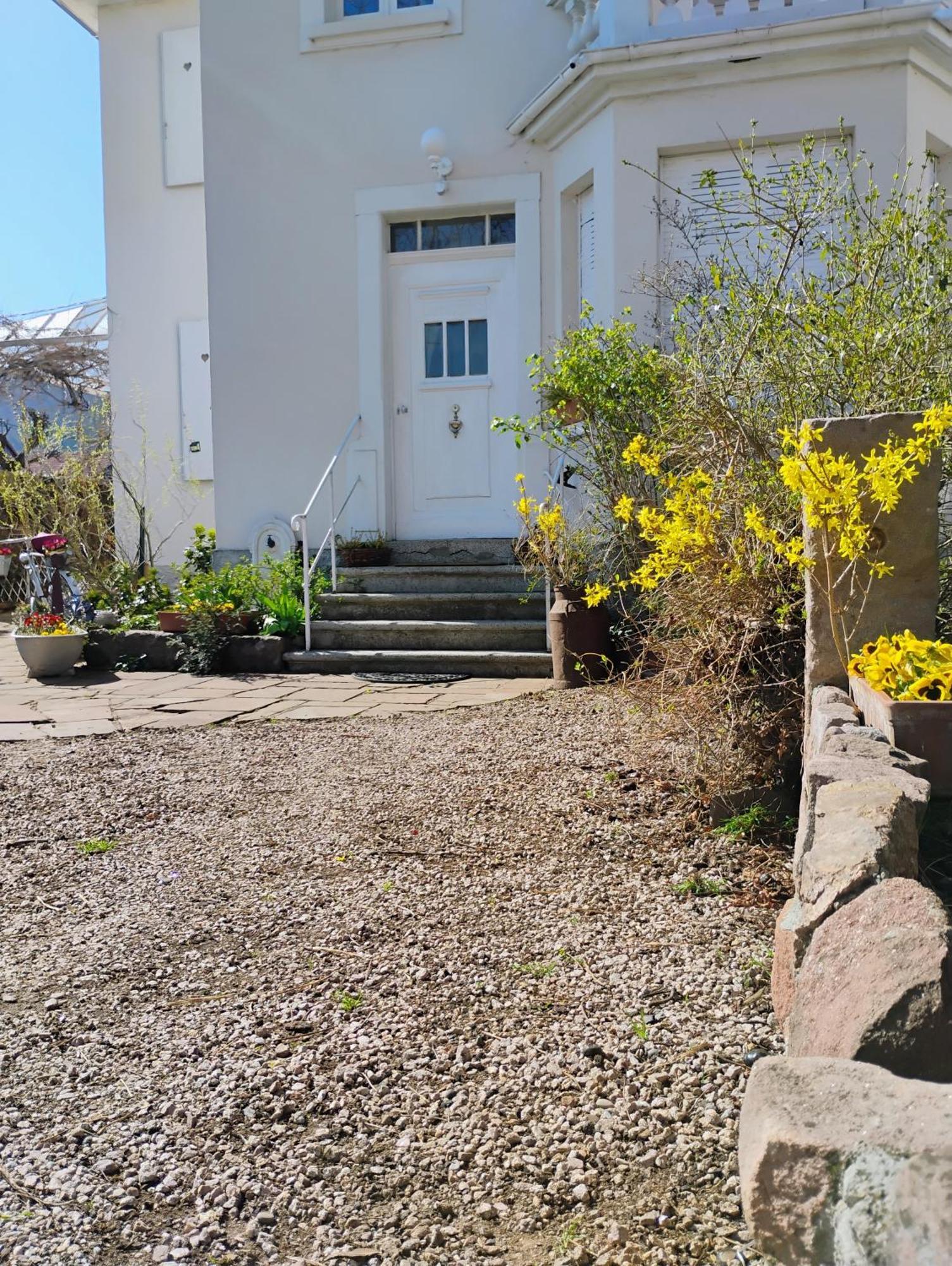 Gite Le Marronnier - Au Calme - Parking & Terrasse - Pres De Colmar Et Riquewihr - Route Des Vins Châtenois Esterno foto