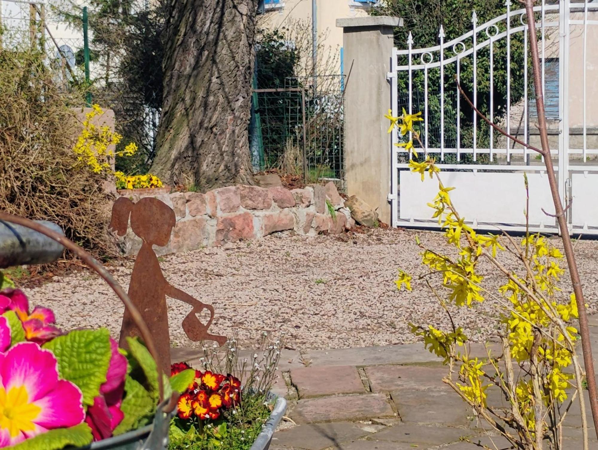 Gite Le Marronnier - Au Calme - Parking & Terrasse - Pres De Colmar Et Riquewihr - Route Des Vins Châtenois Esterno foto