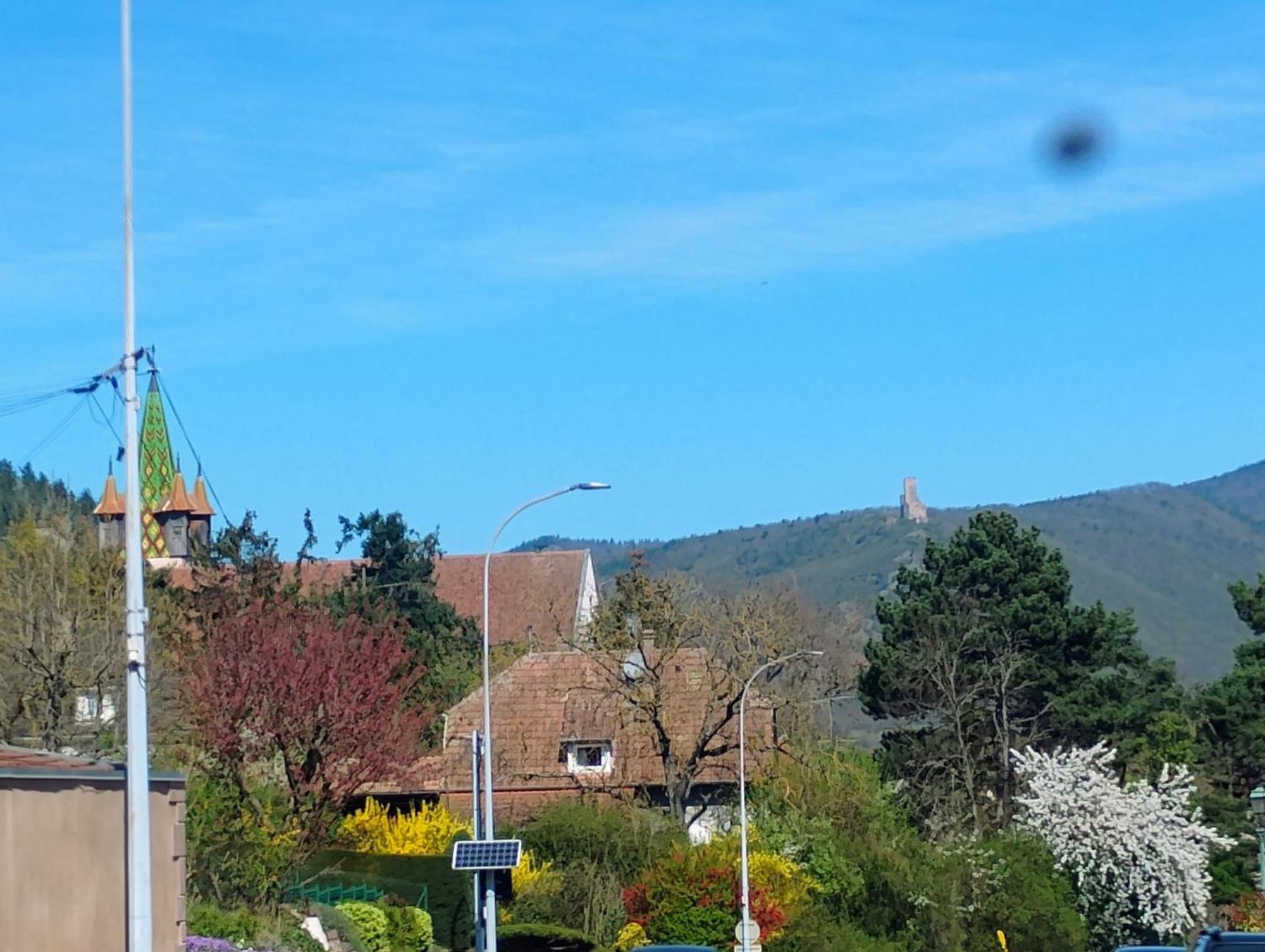 Gite Le Marronnier - Au Calme - Parking & Terrasse - Pres De Colmar Et Riquewihr - Route Des Vins Châtenois Esterno foto