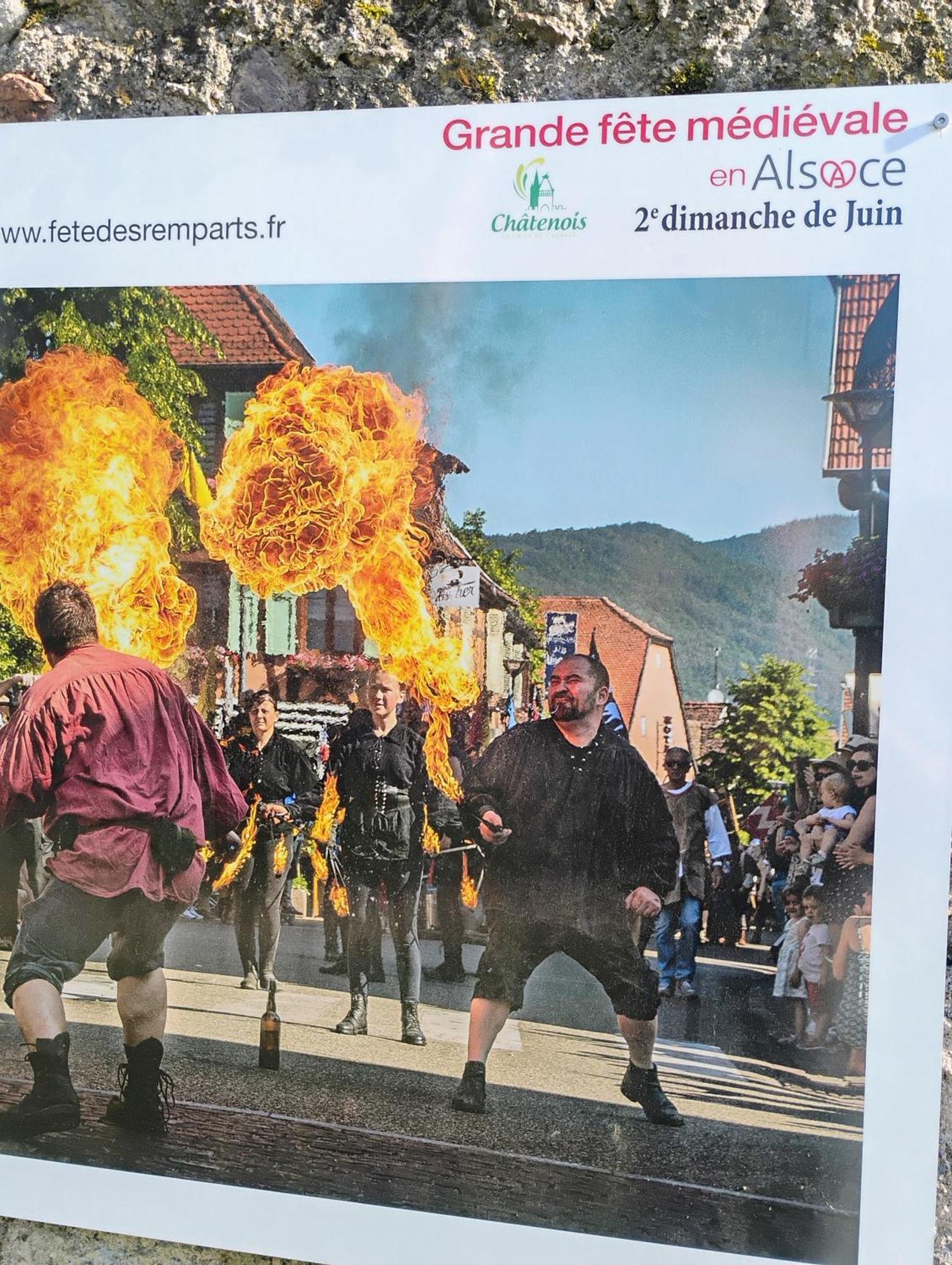 Gite Le Marronnier - Au Calme - Parking & Terrasse - Pres De Colmar Et Riquewihr - Route Des Vins Châtenois Esterno foto