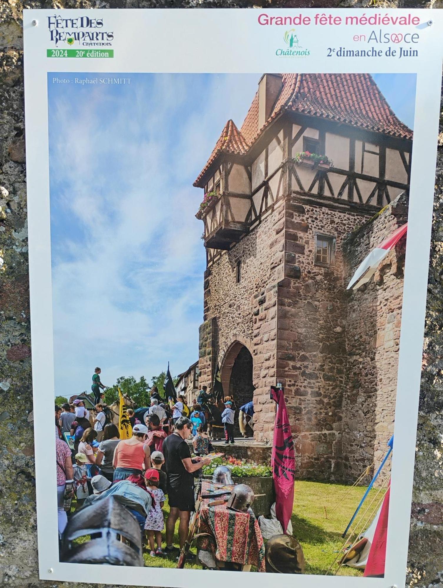 Gite Le Marronnier - Au Calme - Parking & Terrasse - Pres De Colmar Et Riquewihr - Route Des Vins Châtenois Esterno foto